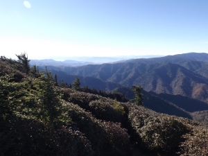 Smoky Mountains 2014 051